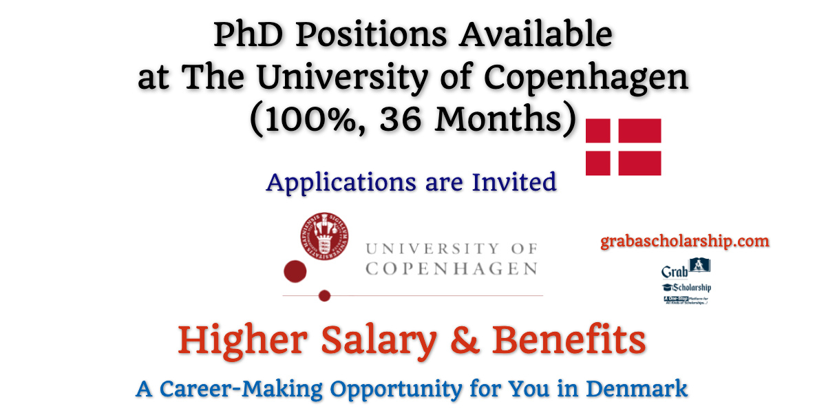 PhD Positions at The University of Copenhagen